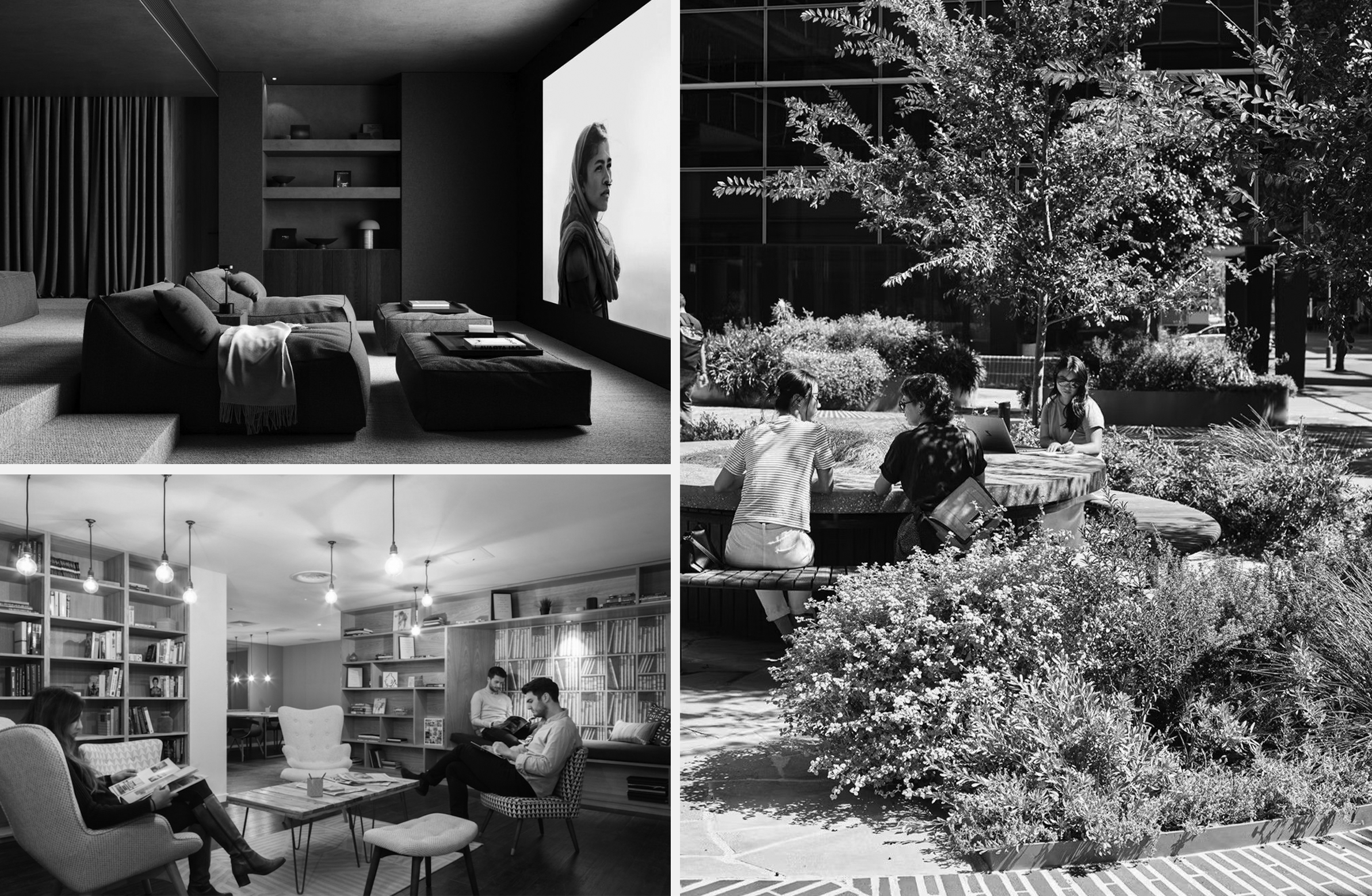living and media room and communal landscape examples